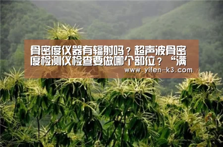 骨密度仪器有辐射吗?超声波骨密度检测仪检查要做哪个部位?“满堂彩”(图3) 满堂彩官网