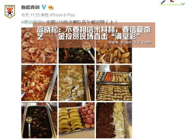 高晓松:不要相信米其林,要信爱奇艺——金投赏现场直击“满堂彩”(图1) 满堂彩