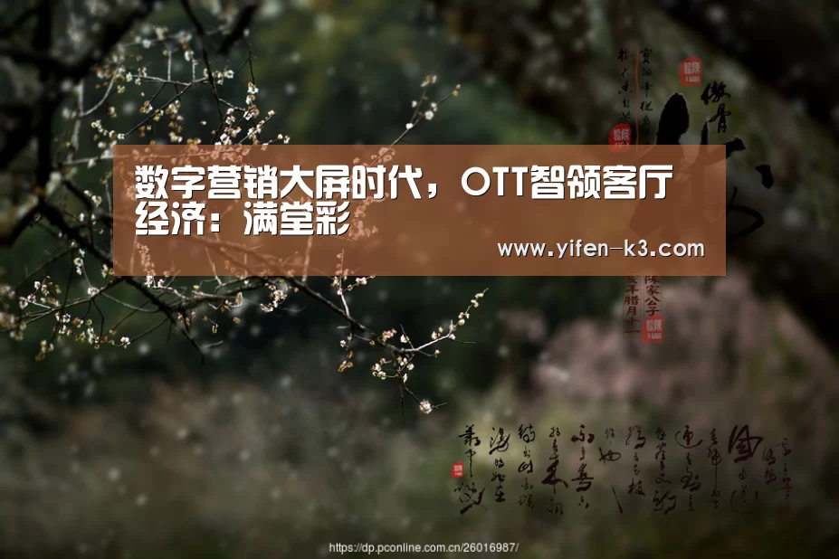 数字营销大屏时代,OTT智领客厅经济:满堂彩(图2) 满堂彩